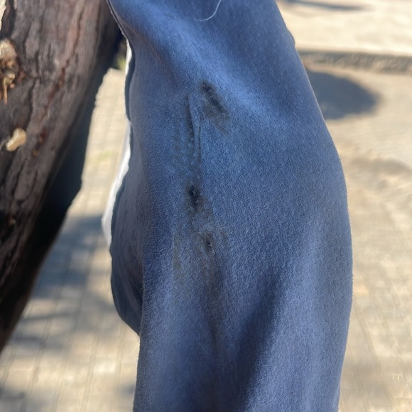 BLANKNYC SUEDE JACKET - Picture 8 of 8